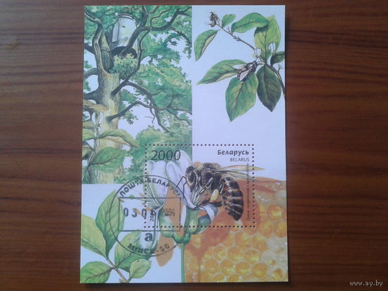 2004 Пчела Блок