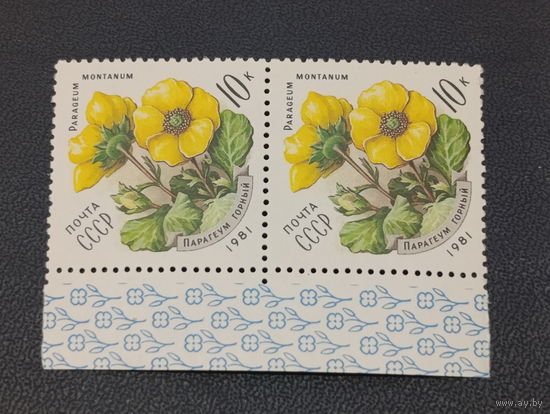 Парагеум горный. СССР 1981г. сцепка