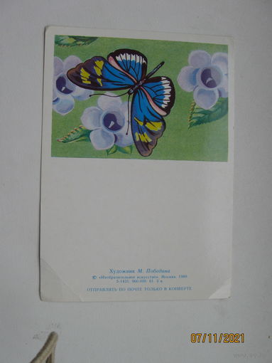 Победина М. 1989г.