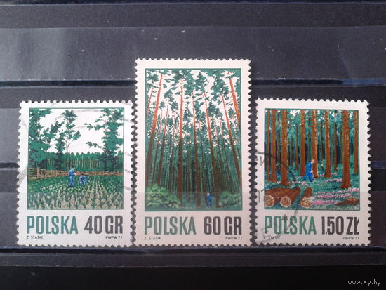 Польша 1971 Лес полная серия
