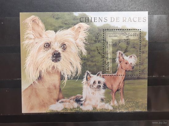 Камбоджа. 1997 год. Фауна. Собаки. Блок (799)