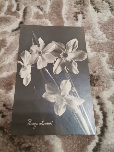 Открытка Поздравляю 1971