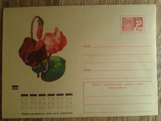 1972 хмк Цикламены
