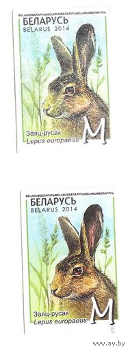 Марка  Заяц-русак