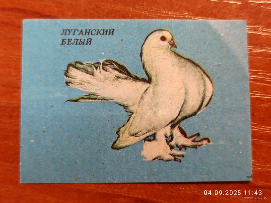Спичечная этикетка Луганский голубь
