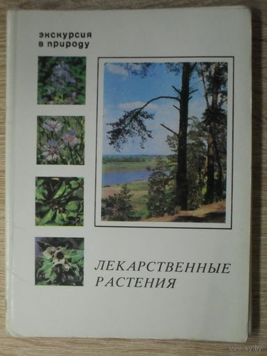 КОМПЛЕКТ ЧИСТЫХ ОТКРЫТОК 25 шт. (ОДНОЙ НЕТ!) "ЛЕКАРСТВЕННЫЕ РАСТЕНИЯ" 1978 ГОД.из серии "ЭКСКУРСИЯ В ПРИРОДУ".