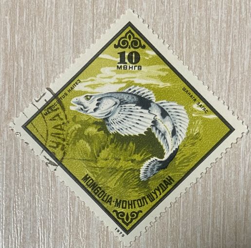 Марка Рыба Монголия. 1975 год