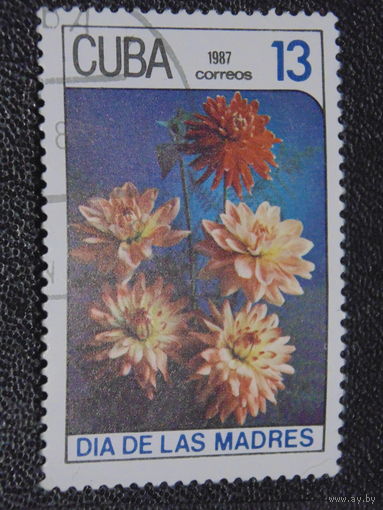 Куба 1987 г. Флора.