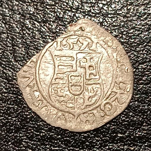 Венгерский денар 1571