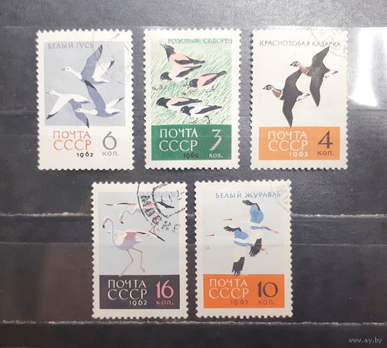 СССР. 1962 год. Фауна. Птицы (1345)