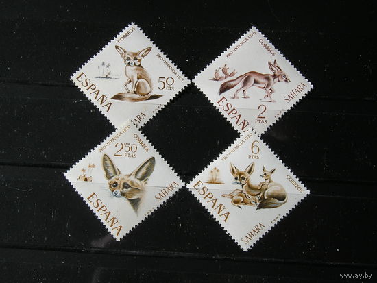 Испанская Сахара 1970, Фенек (миниатюрная лисица)