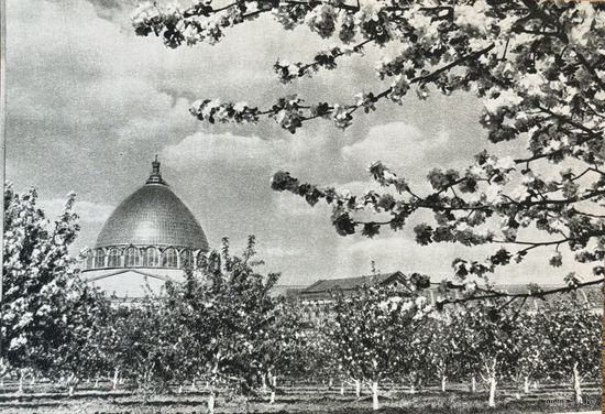 Открытое письмо Всесоюзная сельскохозяйственная выставка Мичуринский сад 1954