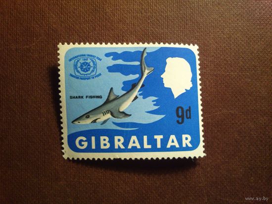 Гибралтар 1967 г.Рыбалка на акул./07а/