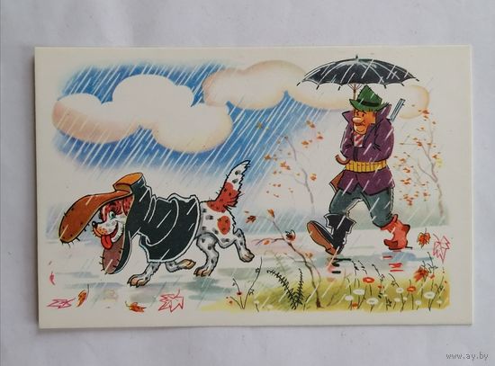 Открытка из СССР, 1968 г, Чистая. Осенний мотив.