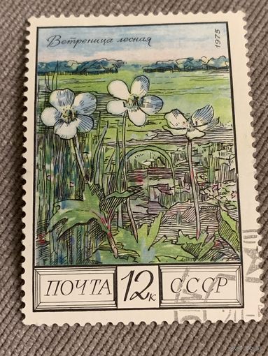 СССР 1975. Ветреница лесная. Марка из серии
