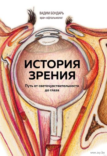 Вадим Бондарь. История зрения. Путь от светочувствительности до глаза