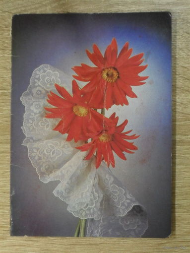 ДВОЙНАЯ ПОДПИСАННАЯ ОТКРЫТКА СССР. "ПОЗДРАВЛЯЮ" фото. Д. КИНДРОВОЙ. 1988 год.