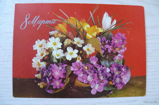 Костенко Г., 8 Марта; 1976, чистая, ДМПК.