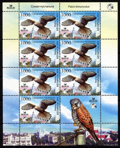 Беларусь 2010 #815. Лист Сокол-пустельга (7000 руб)