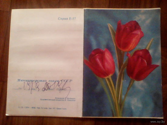 Открытка.Худ.Костенко1974 год
