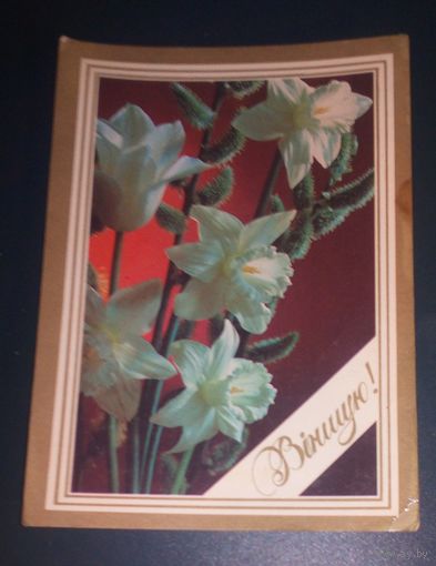Вiншую!(худ.В.Маев).