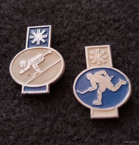Зимние виды спорта. Скоростной спуск, хоккей. Цена за один. (Д-6)