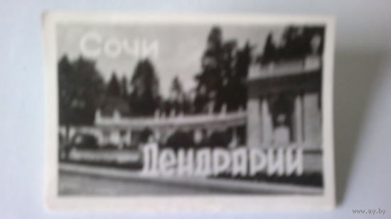 Буклет "СОЧИ. ДЕНДРАРИЙ" (5 х 7 см), 1966 год