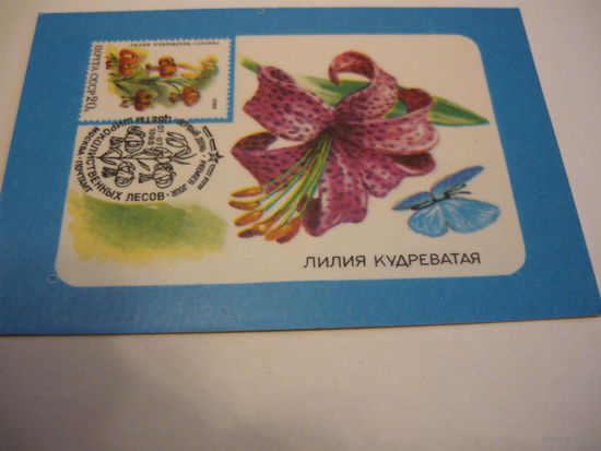 Филателия