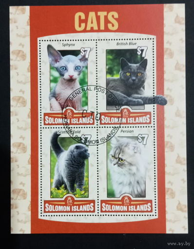 ФАУНА КОШКИ ПОРОДЫ КОШАК ЖИВОТНЫЕ     БЛОК  сто