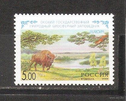 ФФ1 Россия 1999 Зубр