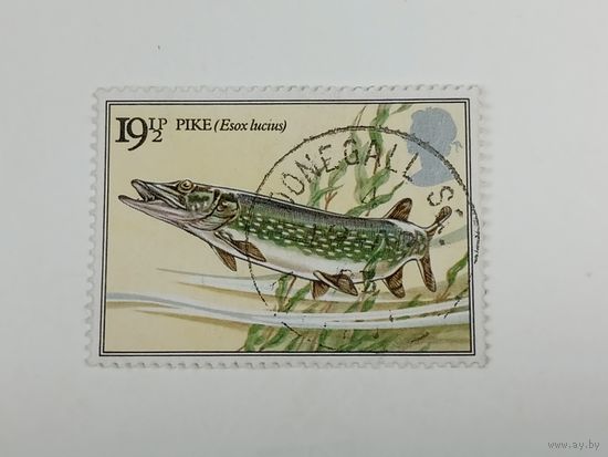 Великобритания 1983. Речная рыба