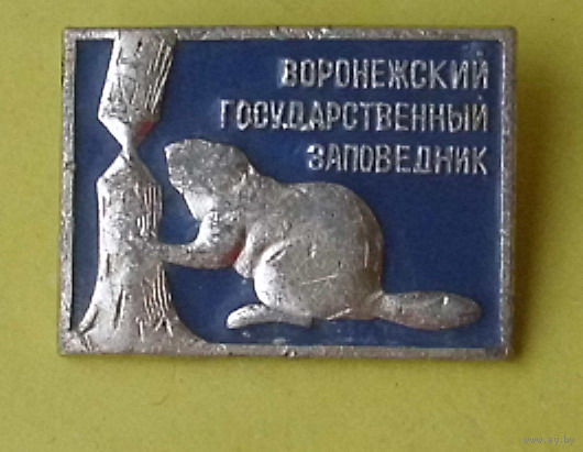 Воронежский заповедник. 1095.