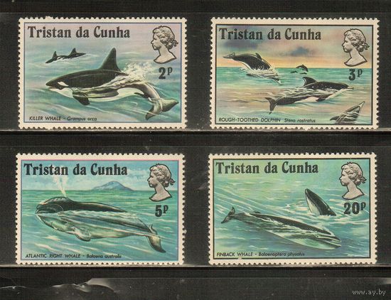 Тристан-да-Кунья-1975(Мих.202-205) , ** ,  Морская фауна, Киты, Дельфины (полная серия)
