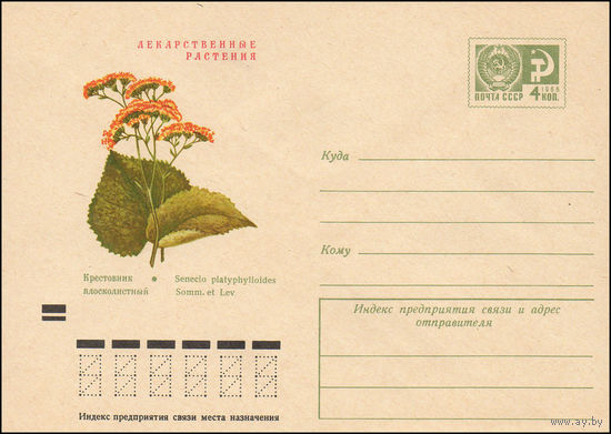 Художественный маркированный конверт СССР N 8110 (06.03.1972)  Лекарственные растения  Крестовник плосколистный