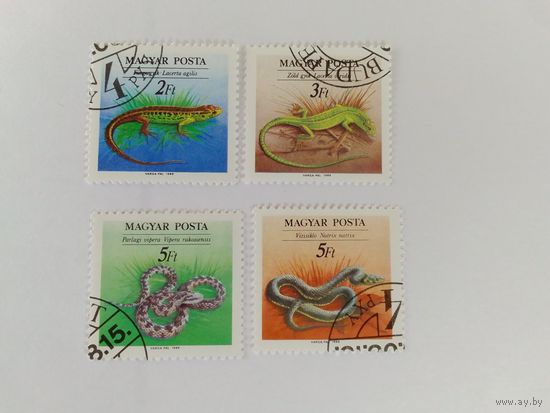Марки  Змеи     Венгрия   1989г  4 шт
