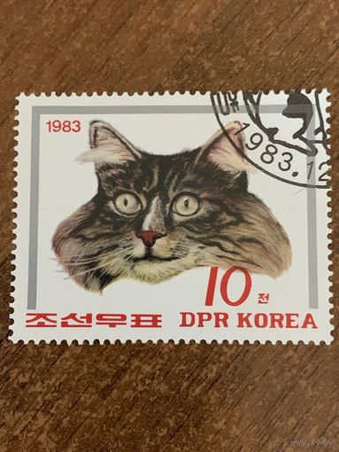 КНДР 1983. Породы кошек. Марка из серии