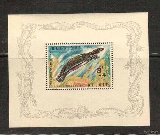 Бельгия-1965(Мих.Бл.33) , **   ,  Морская фауна, Черепаха