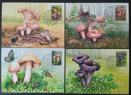 Беларусь 2013 КМ грыбы .