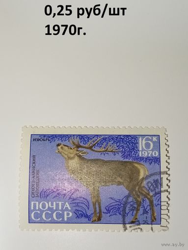 СССР 1970 год. Сихотэ-Алинский заповедник. Изюбрь