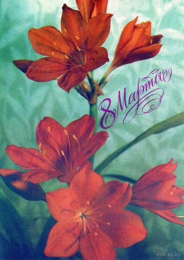 Открытка. 8 Марта. 1988