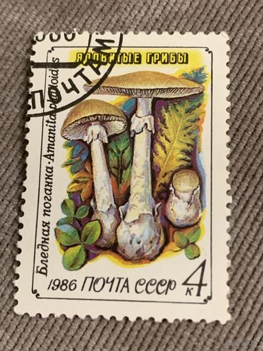 СССР 1986. Ядовитые грибы. Бледная поганка. Марка из серии