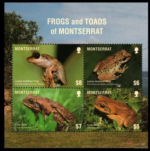2018 Монтсеррат 1870-1873KL Рептилии - Лягушки 23,00 евро