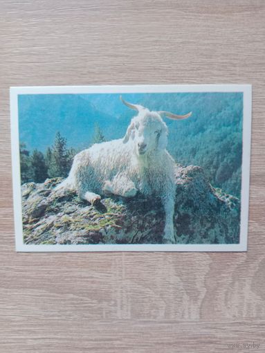 Календарик 1990