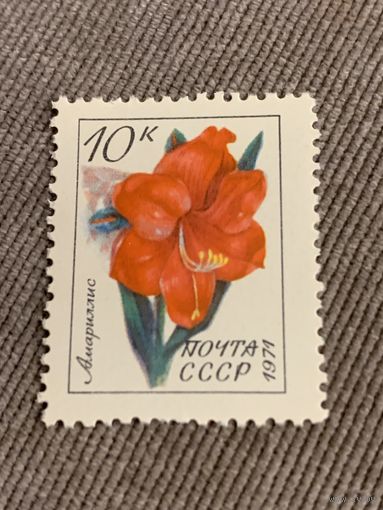 СССР 1971. Амариллис. Марка из серии