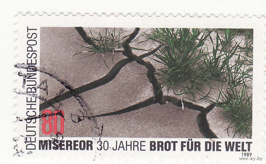 Эрозия почв 1989 год
