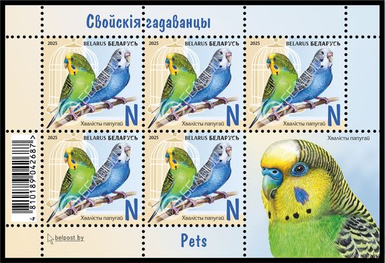 БЕЛАРУСЬ  2025  Малый лист "Детская филателия. Домашние питомцы"  MNH