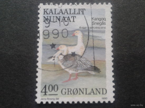 Дания Гренландия 1990 птицы