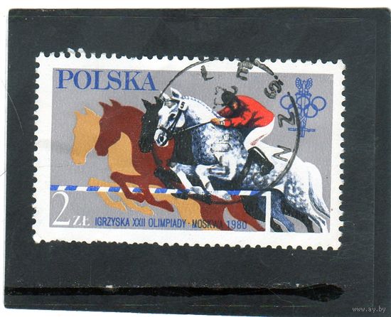 Польша. Mi:PL 2674. Конный сорт. Серия: Олимпийские игры 1980 - Москва.