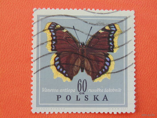 Польша 1967г. Бабочки.