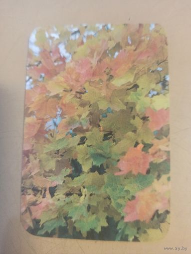 Календарь 1989/15